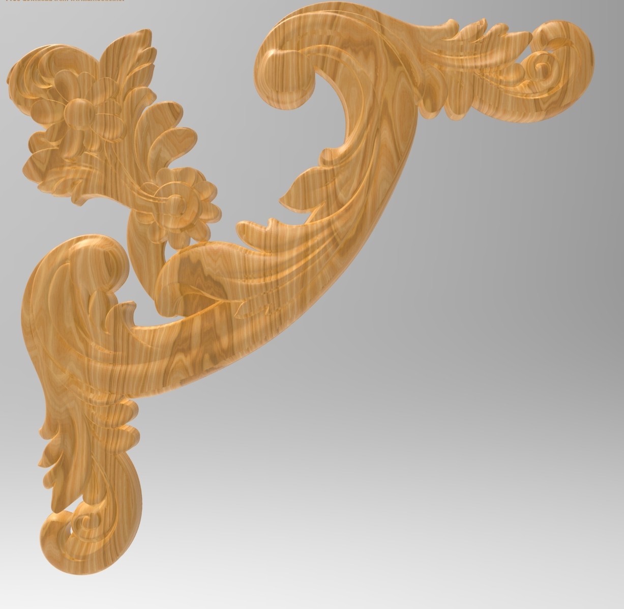 3DCOR00020